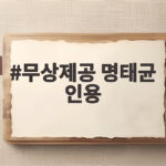 무상제공 명태균 인용