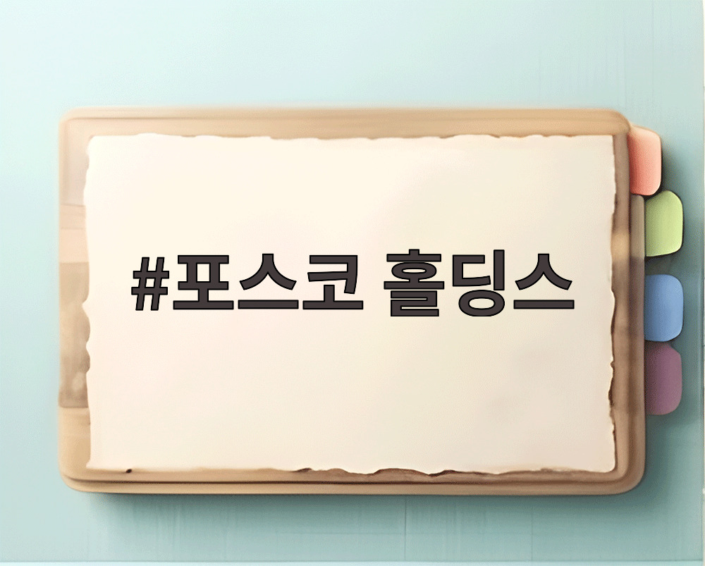 포스코 홀딩스
