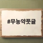 무농약풋귤