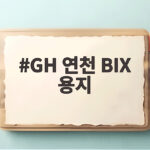 GH 연천 BIX 용지