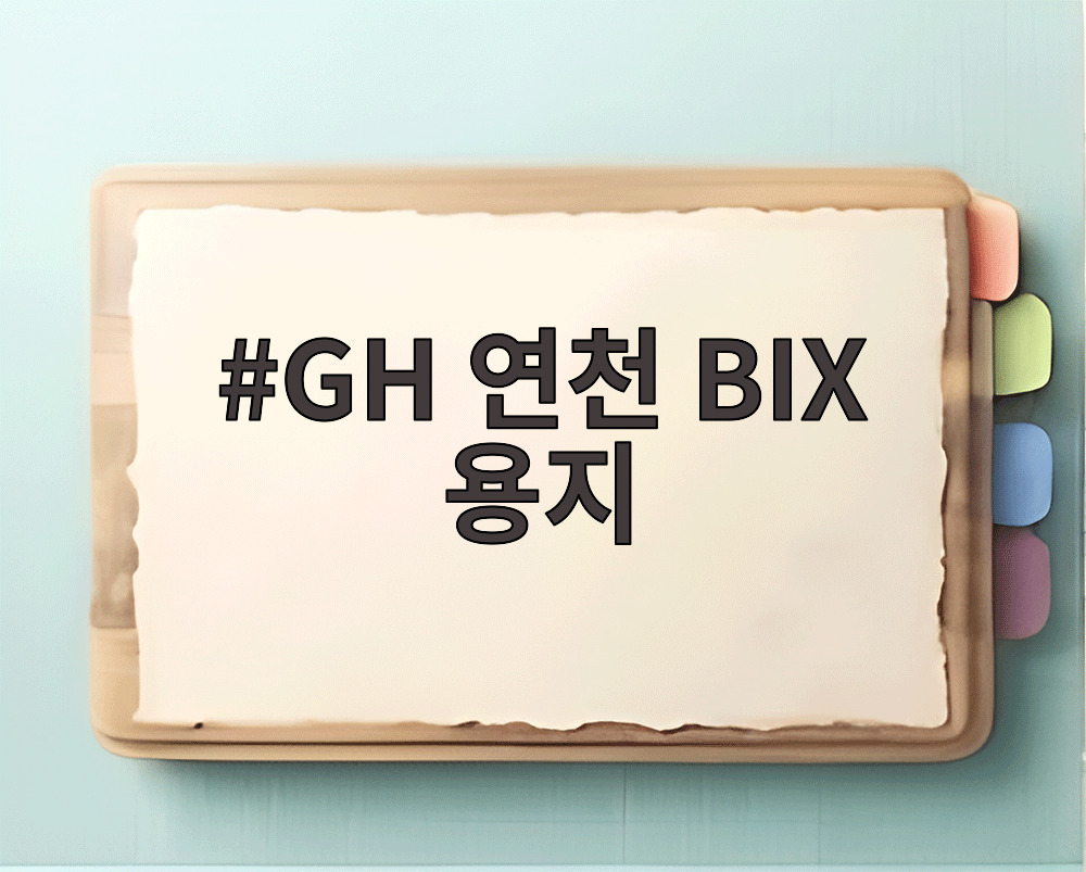 GH 연천 BIX 용지