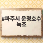 파주시 운정호수 녹조 168억 재사용 사업으로 해결한다고 파주시 운정호수 녹조