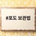 포도 보관법