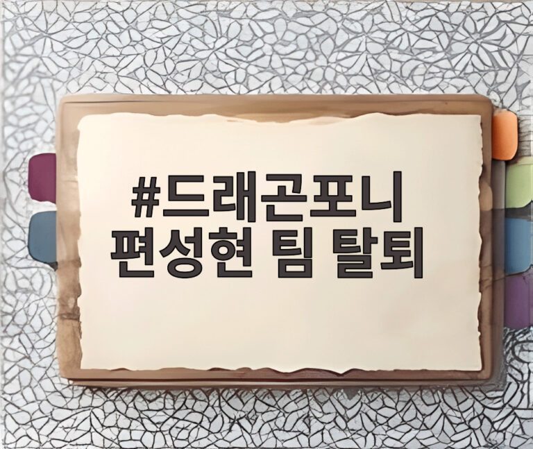 드래곤포니 편성현 팀 탈퇴