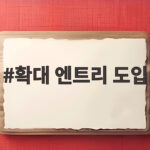 확대 엔트리 도입