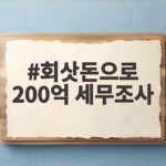 회삿돈으로 200억 세무조사