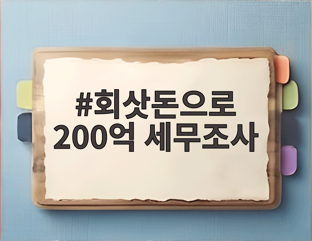 회삿돈으로 200억 세무조사
