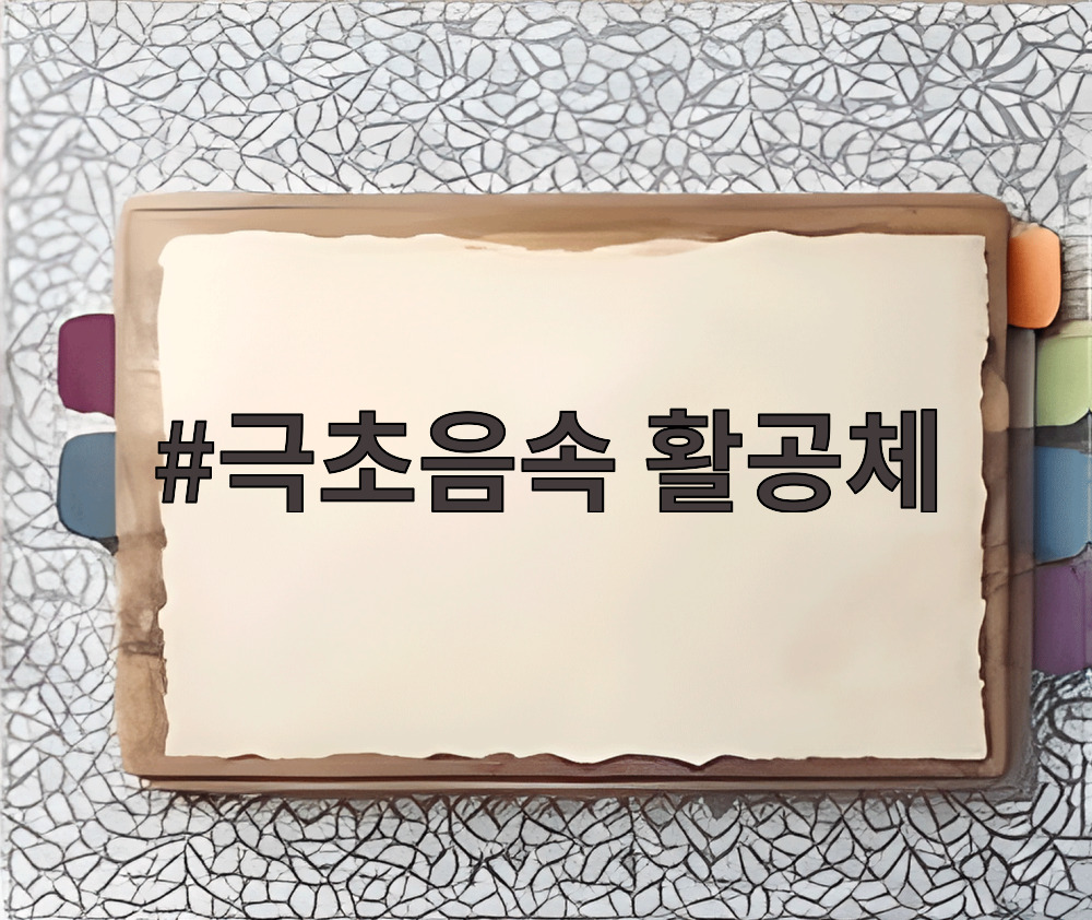 극초음속 활공체