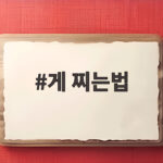 게 찌는법