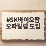 SK바이오팜 오파칼림 도입 블록버스터 2개 바이오텍 도약 SK바이오팜 오파칼림 도입