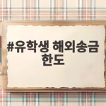 유학생 해외송금 한도