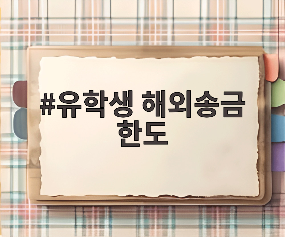 유학생 해외송금 한도