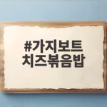 가지보트 치즈볶음밥