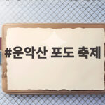 운악산 포도 축제
