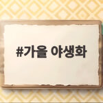 가을 야생화