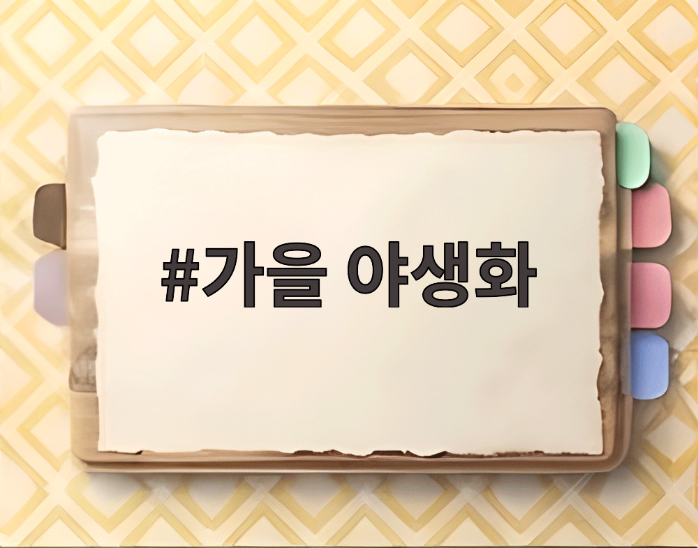 가을 야생화