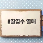 칠엽수 열매