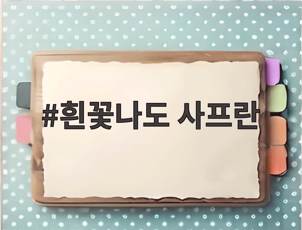 흰꽃나도 사프란
