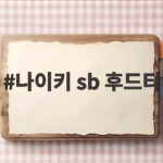 나이키 sb 후드티