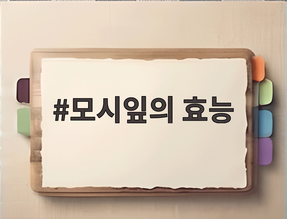 모시잎의 효능