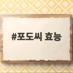 포도씨 효능