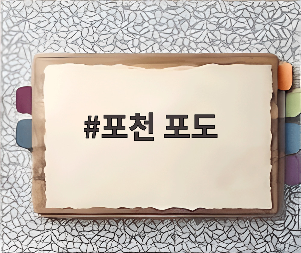 포천 포도