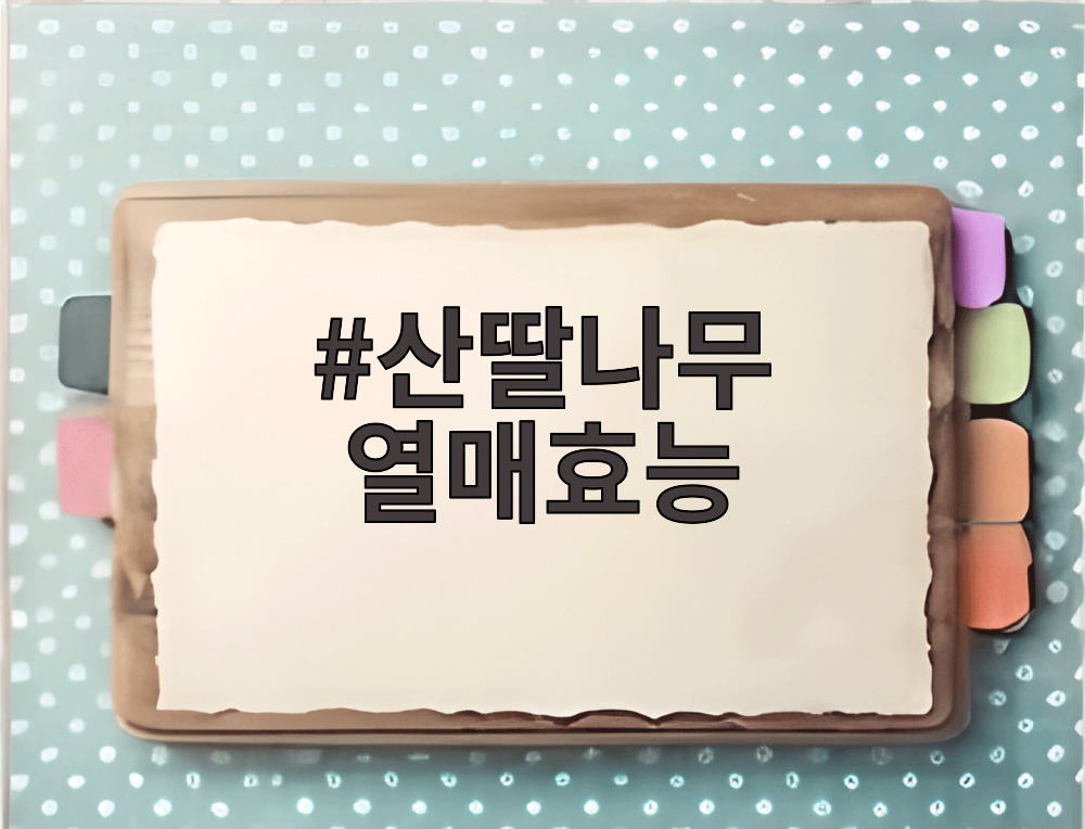 산딸나무 열매효능