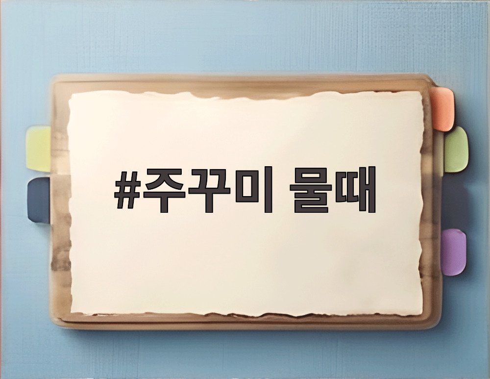 주꾸미 물때