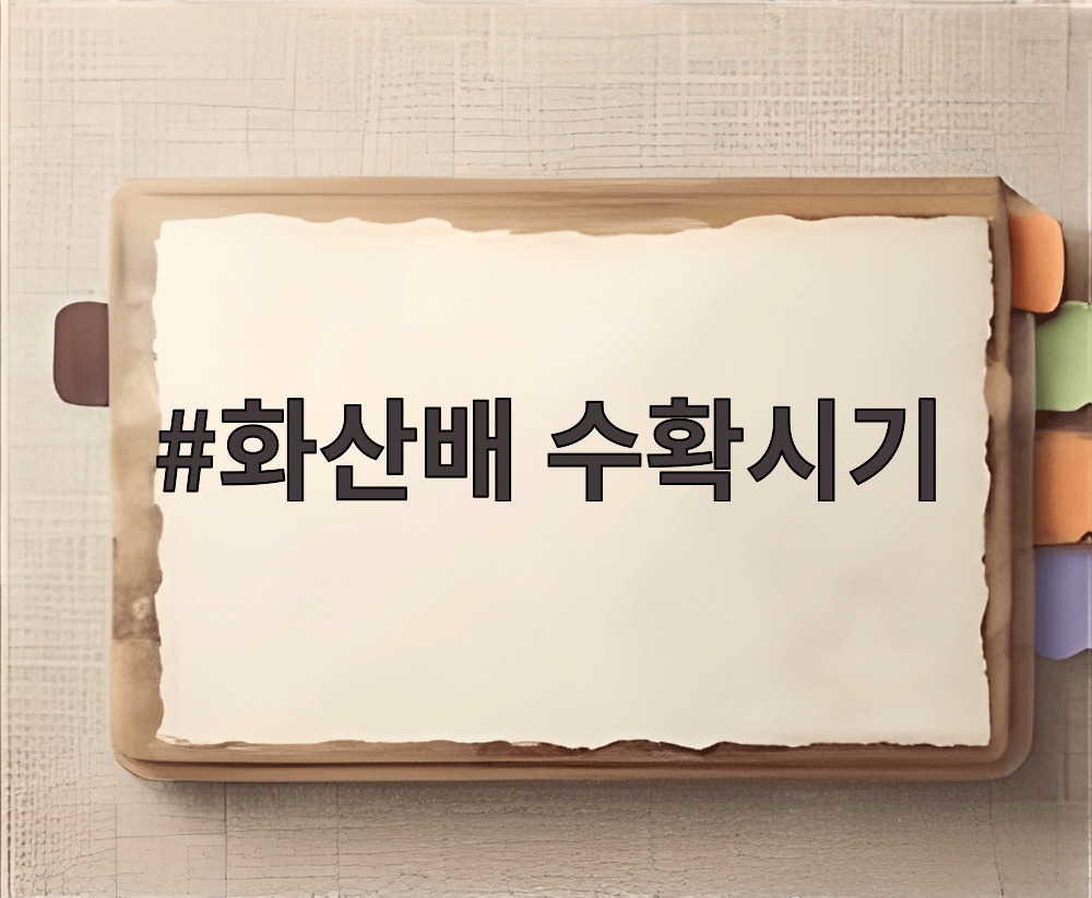 화산배 수확시기