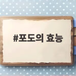 포도의 효능