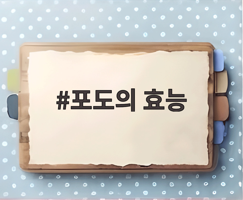 포도의 효능