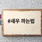 새우 까는법 쉽게 따라하는 초보자 팁 새우 까는법