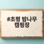 초평 밤나무 캠핑장
