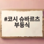 코시 슈바르츠 부등식 개념부터 활용까지 코시 슈바르츠 부등식