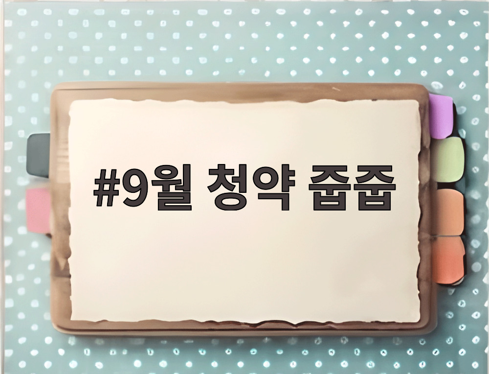 9월 청약 줍줍