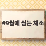 9월에 심는 채소