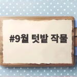 9월 텃밭 작물