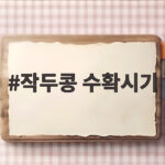 작두콩 수확시기 정확히 알기 작두콩 수확시기