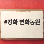강화 연화농원