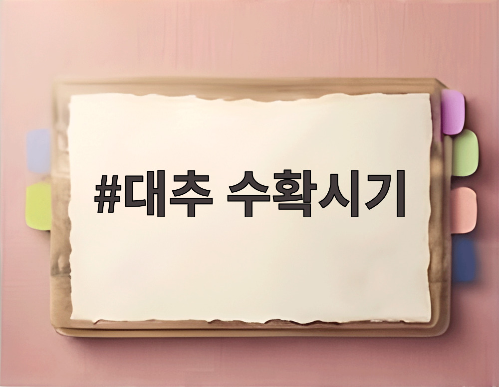 대추 수확시기