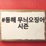 동해 무늬오징어 시즌 시기와 공략법 동해 무늬오징어 시즌