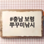 9월 충남 보령 쭈꾸미낚시 출조 정리 충남 보령 쭈꾸미낚시