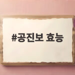 공진보 효능