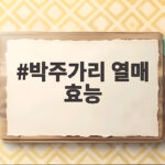 박주가리 열매 효능