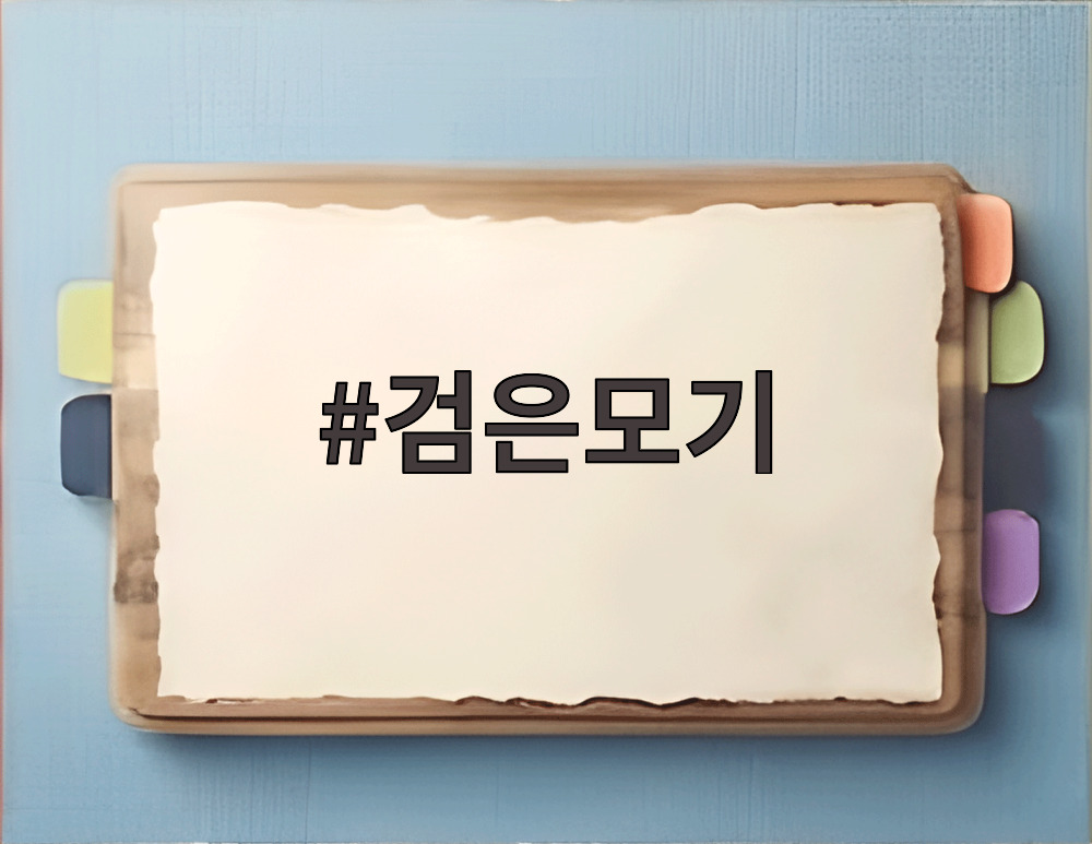 검은모기