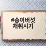 송이버섯 채취시기와 가격 2026 총정리 송이버섯 채취시기