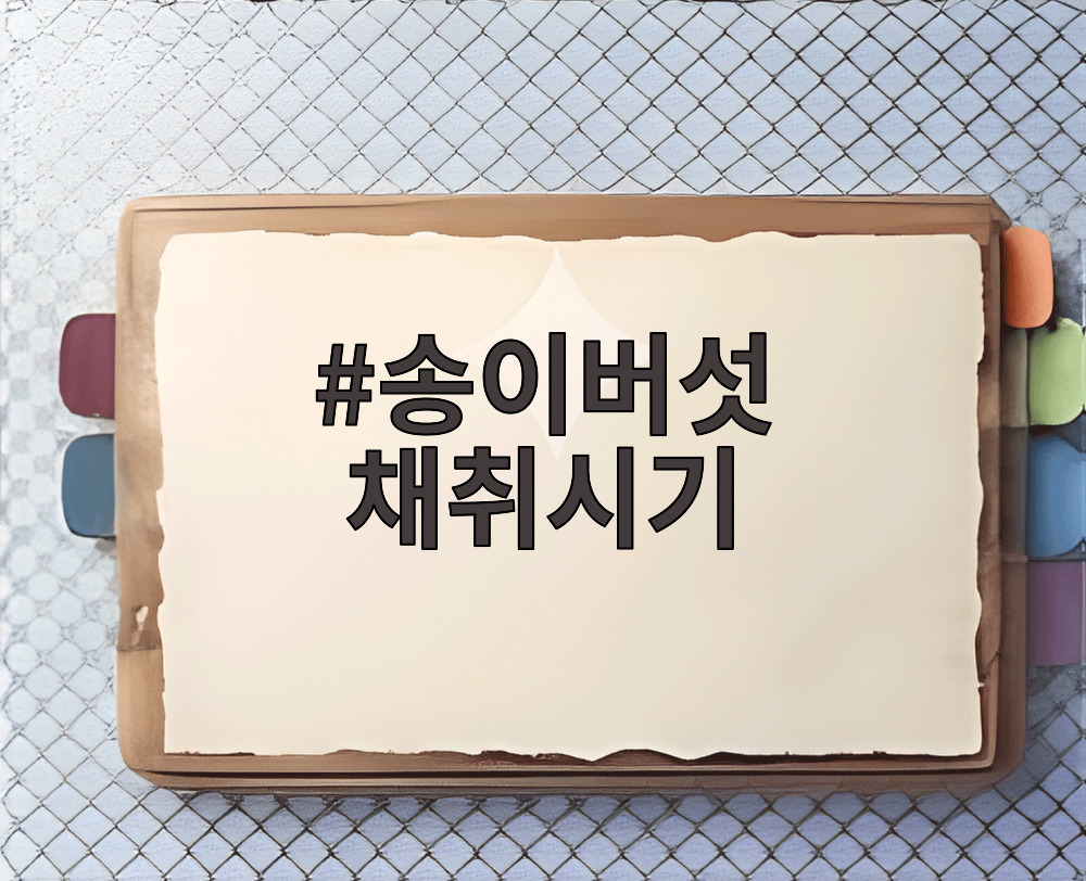 송이버섯 채취시기
