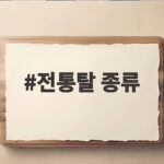 전통탈 종류 18가지와 지역 탈춤 특징 총정리 전통탈 종류