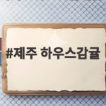 제주 하우스감귤 여름 제철 과일 맛과 보관법 제주 하우스감귤