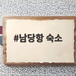 남당항 숙소